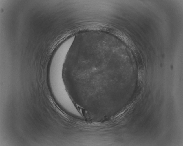 X0000081470397200702021837