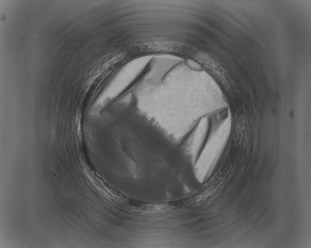 X0000081470398200702021837