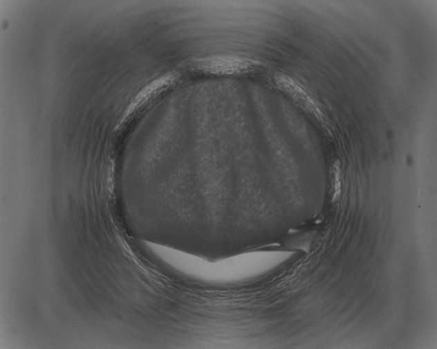 X0000081470400200702021837