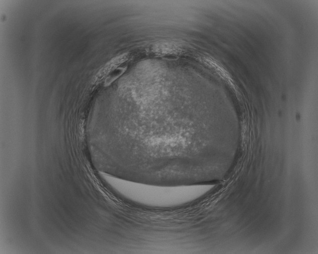 X0000081470401200702021837