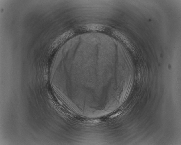 X0000081470402200702021837