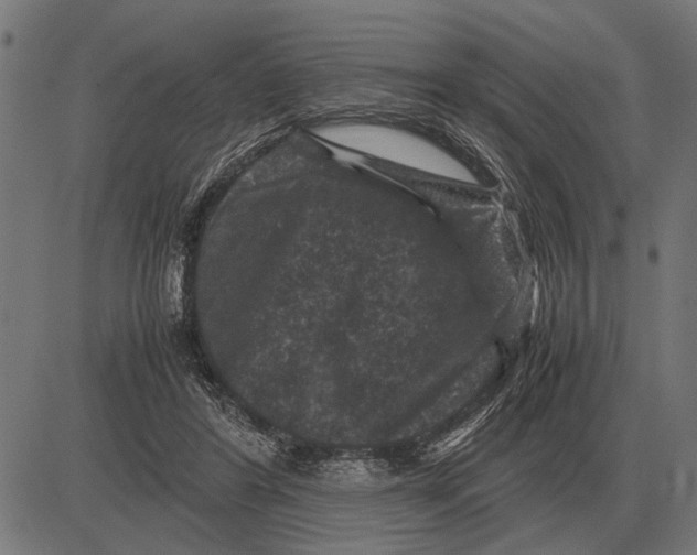 X0000081470404200702021837