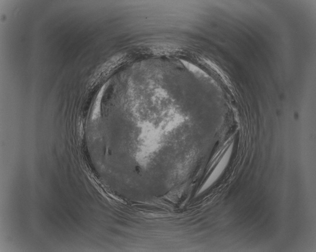 X0000081470405200702021837