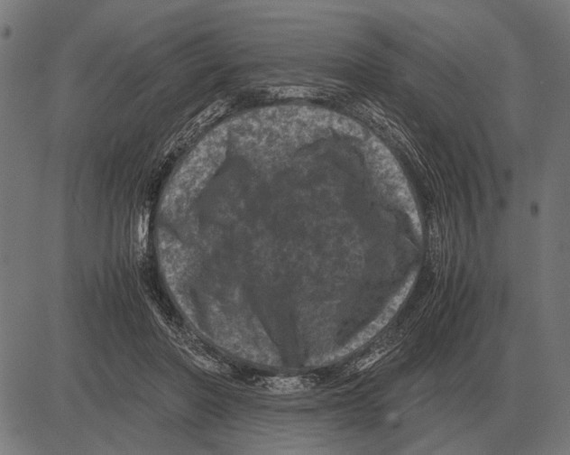 X0000081470406200702021837