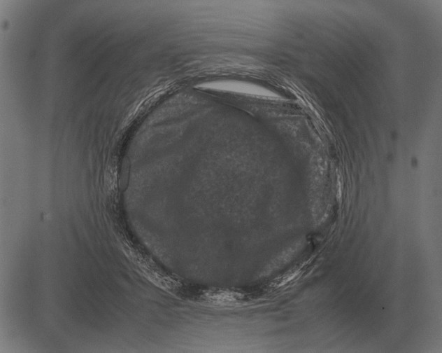 X0000081470407200702021837