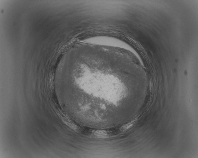 X0000081470409200702021837