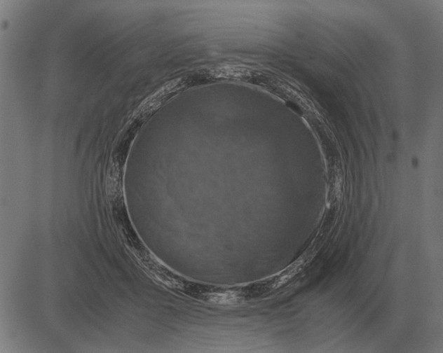 X0000081470411200702021837