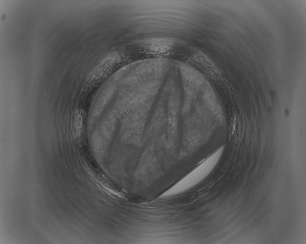 X0000081470412200702021837