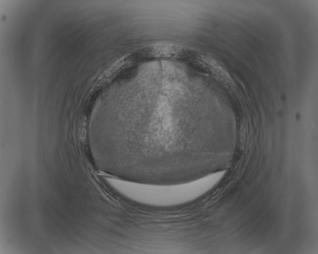 X0000081470413200702021837