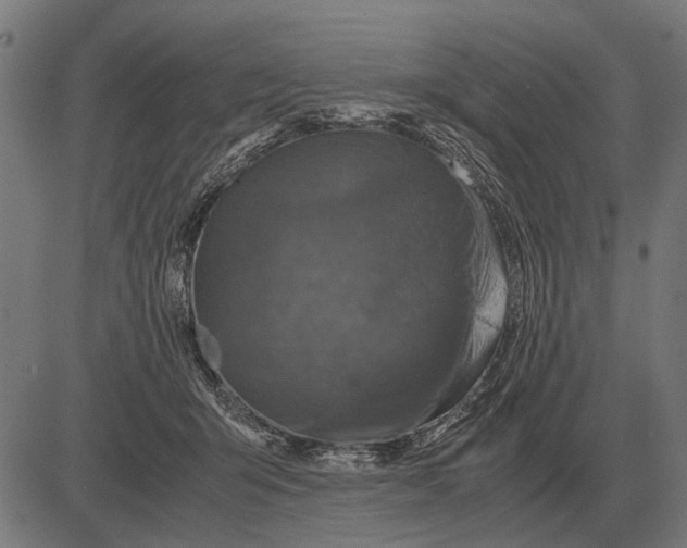 X0000081470415200702021837