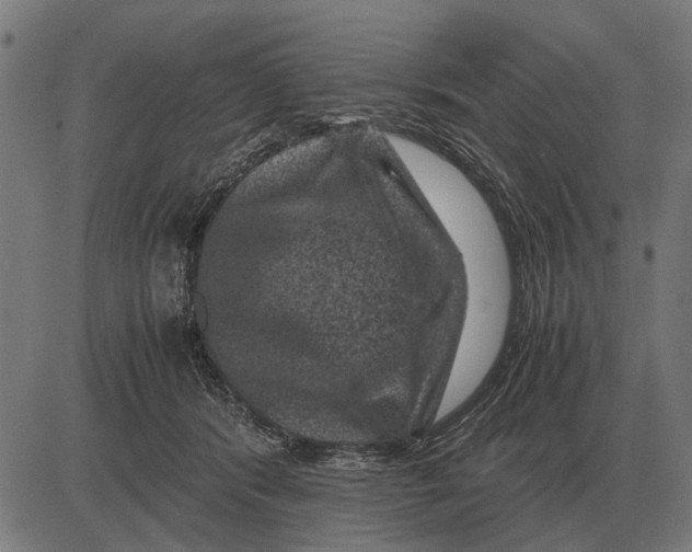 X0000081470416200702021837