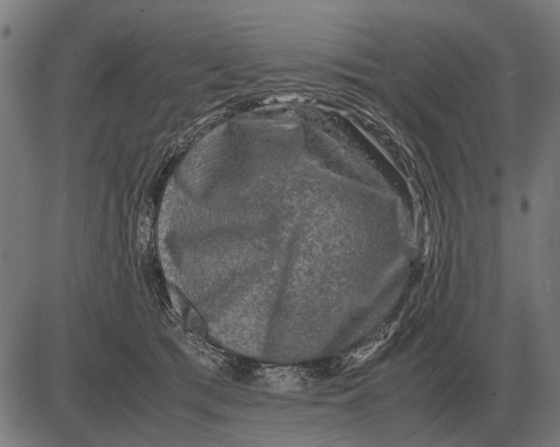 X0000081470417200702021837