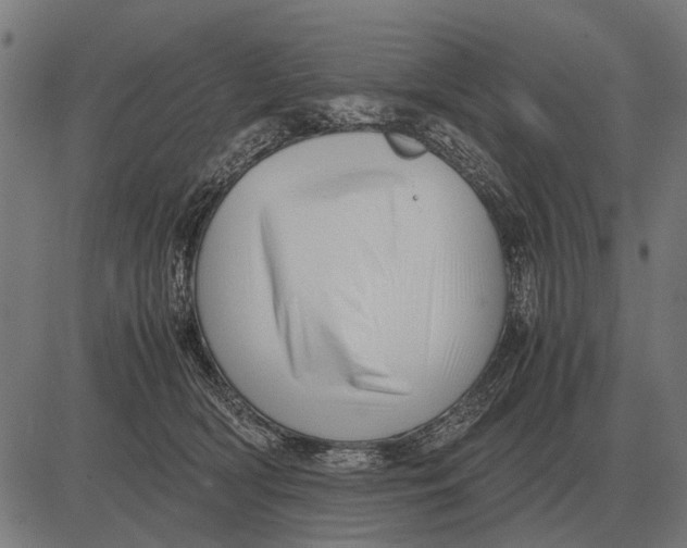 X0000081470418200702021837