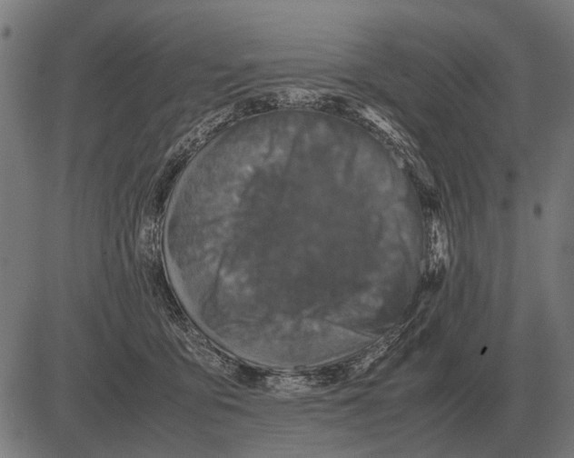 X0000081470419200702021837