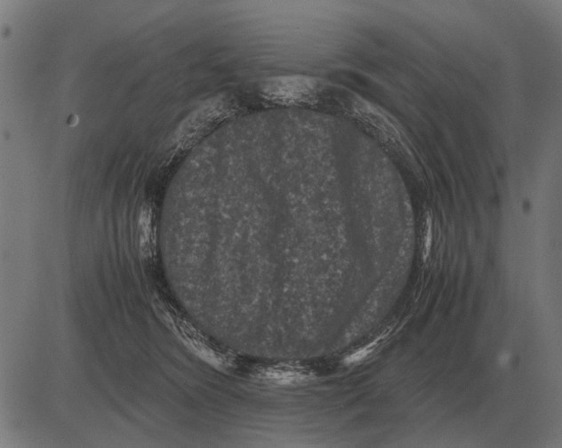 X0000081470420200702021837