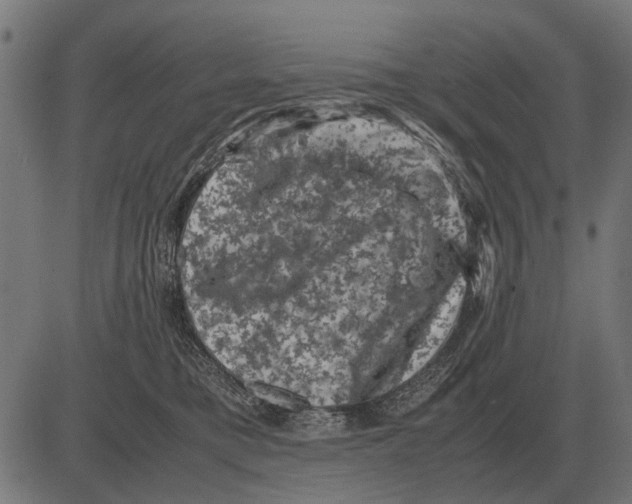 X0000081470421200702021837