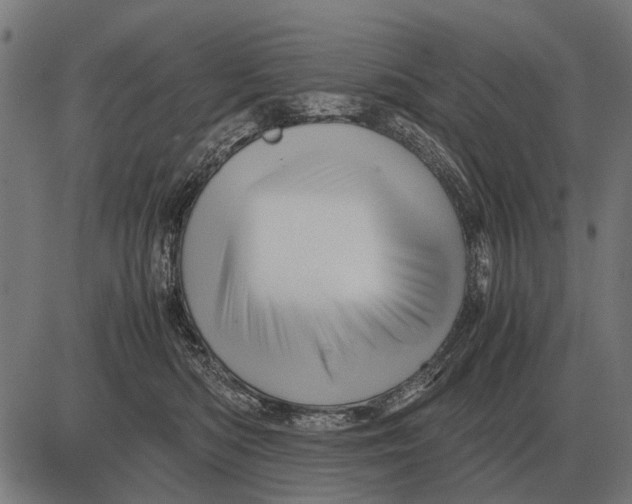 X0000081470422200702021837