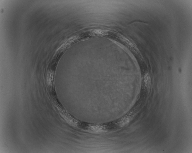 X0000081470423200702021837