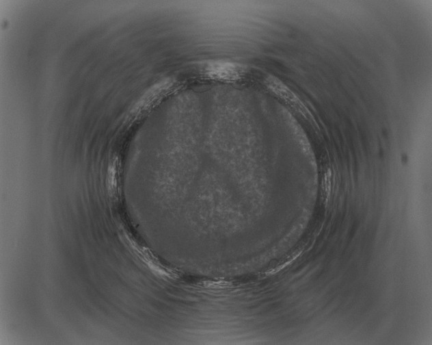 X0000081470424200702021837