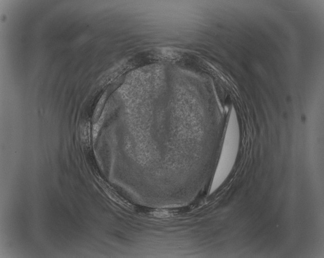 X0000081470425200702021837