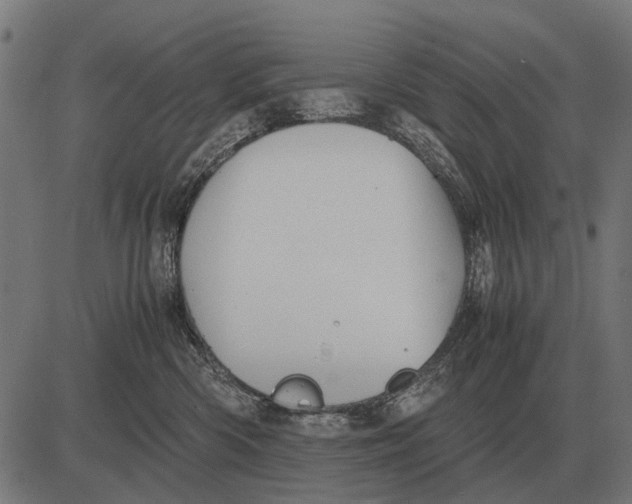 X0000081470426200702021837