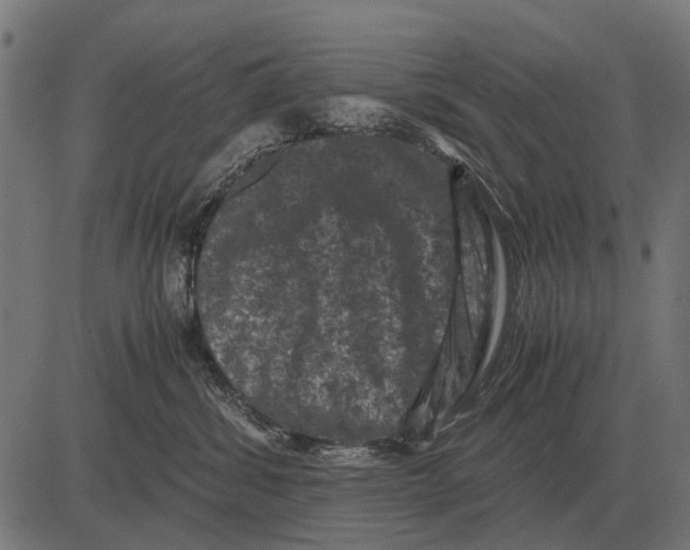 X0000081470428200702021837