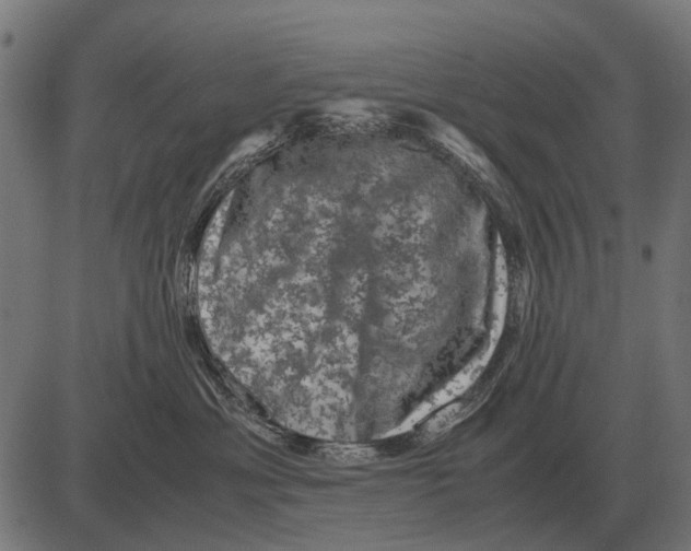 X0000081470429200702021837