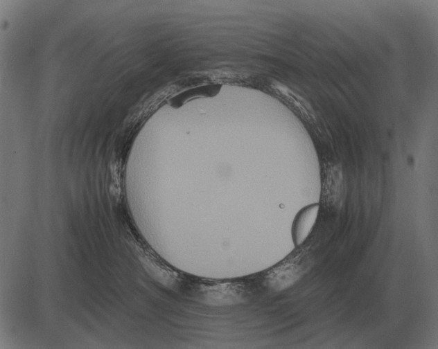 X0000081470430200702021837