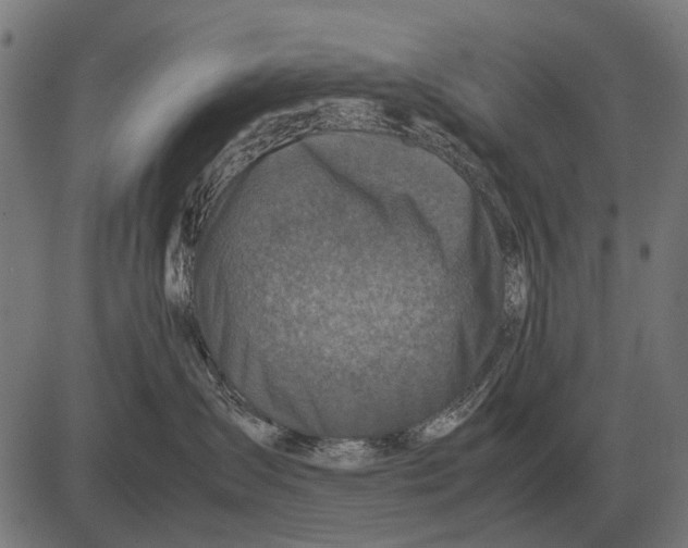 X0000081470431200702021837