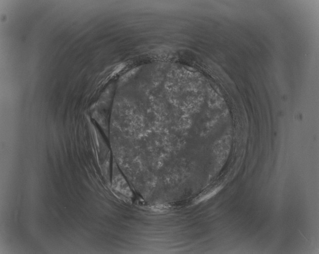 X0000081470432200702021837