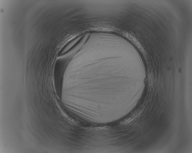 X0000081470433200702021836