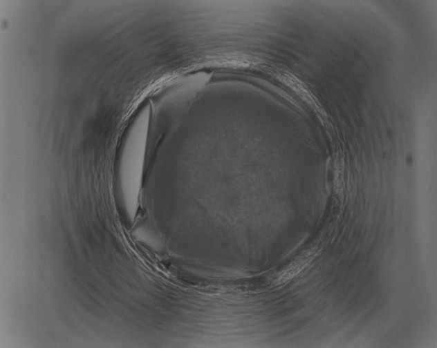 X0000081470434200702021836