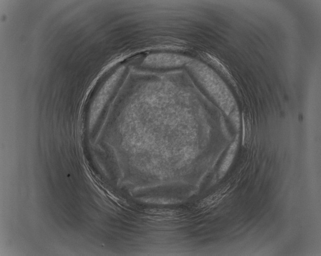 X0000081470435200702021836