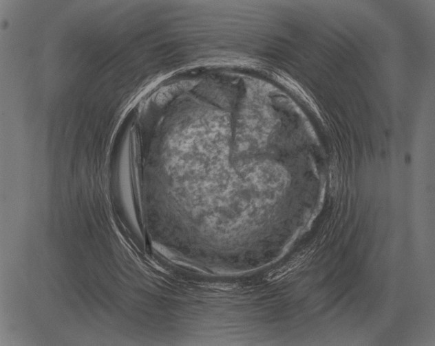 X0000081470436200702021836