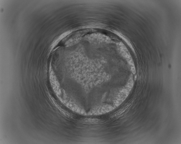 X0000081470437200702021836