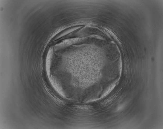 X0000081470439200702021836