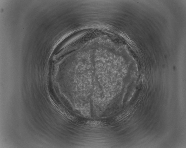 X0000081470440200702021836