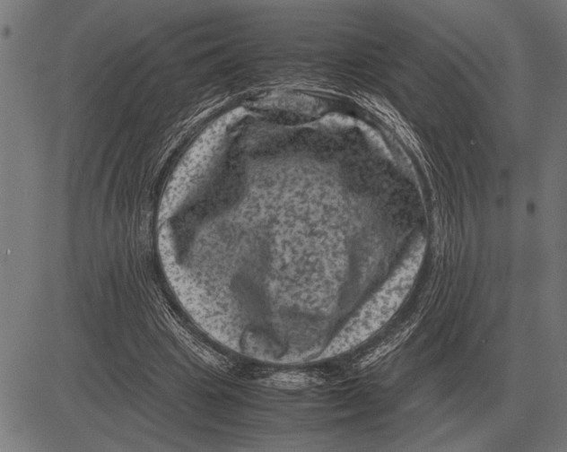 X0000081470441200702021836