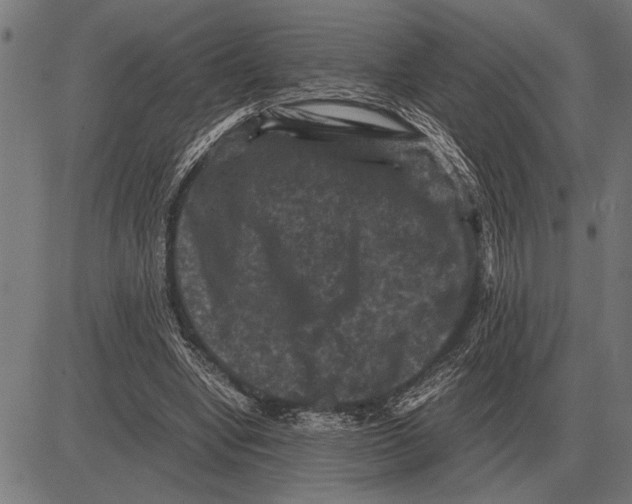 X0000081470442200702021836