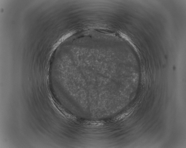 X0000081470443200702021836