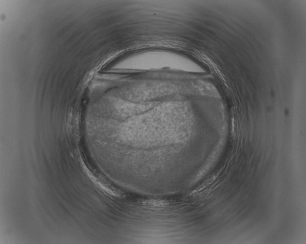 X0000081470444200702021836