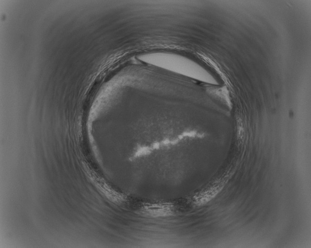 X0000081470447200702021836