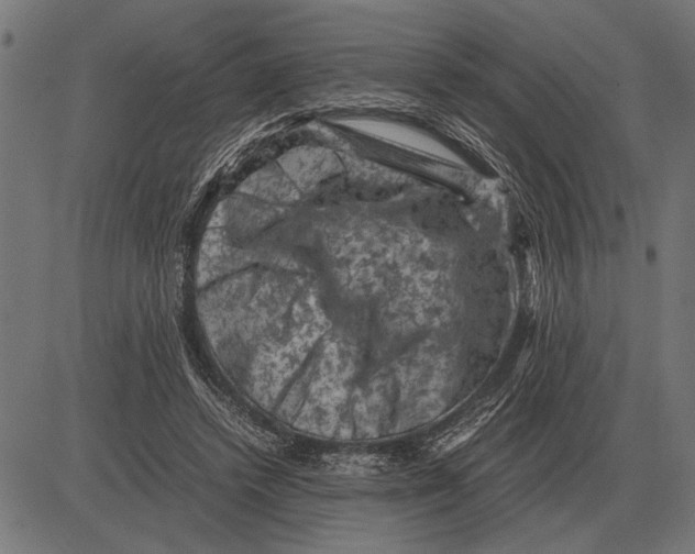 X0000081470448200702021836