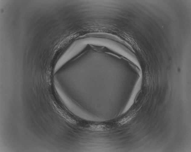 X0000081470450200702021836