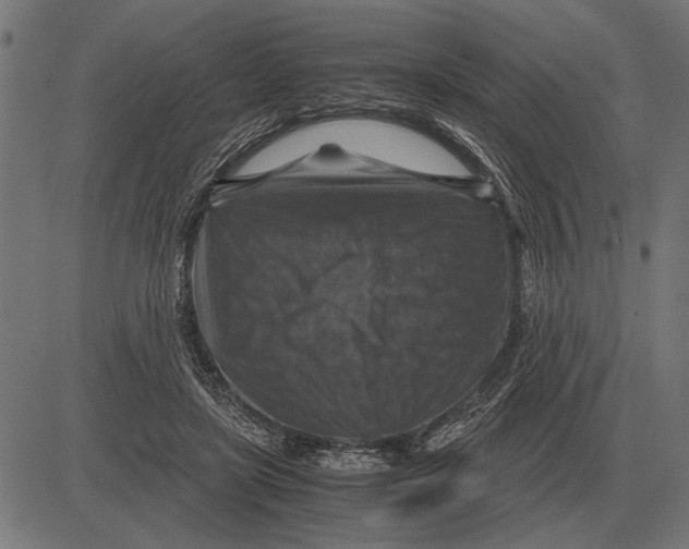 X0000081470451200702021836