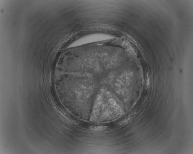 X0000081470452200702021836