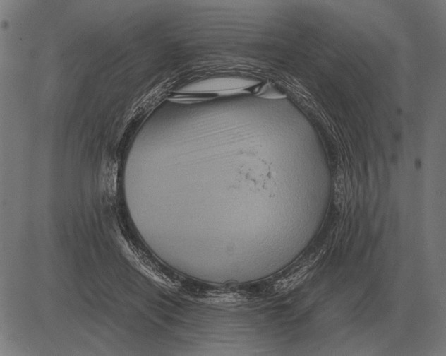 X0000081470454200702021836