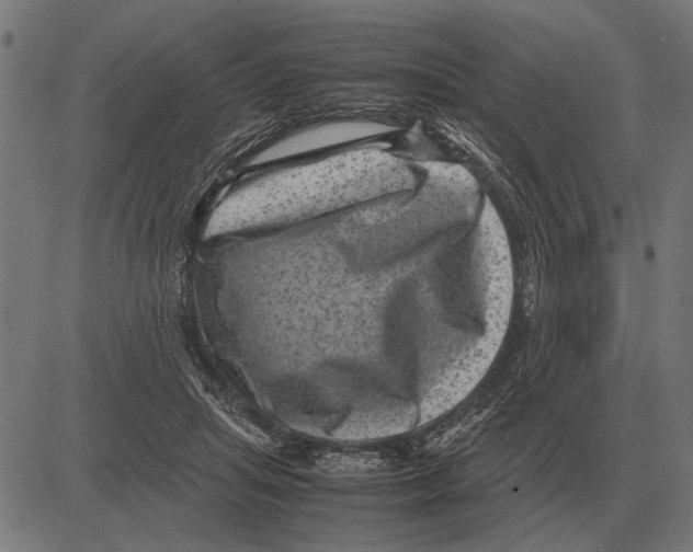 X0000081470455200702021836