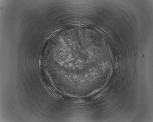 X0000081470456200702021836