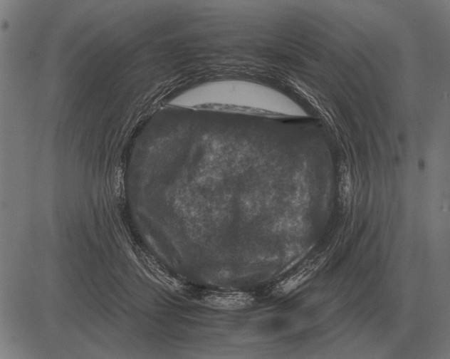 X0000081470459200702021836